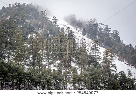 Snow On Michlifen