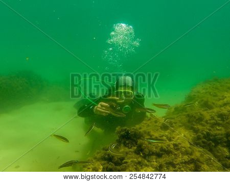 Diving Hobbie In Houcima Bay In Summer