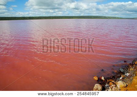 Hutt Lagoon Pink Lake - Western Australia