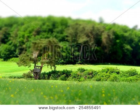 High Seat In The Hills At Geismar, Kellerwald, Edersee, Hesse