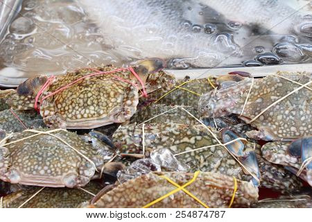 Fresh Crab For Cooking In The Market