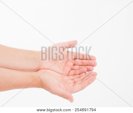 Male Hand Two Palm Up. Handbreadth Isolated On A White Background. Front View. Mock Up. Copy Space. 
