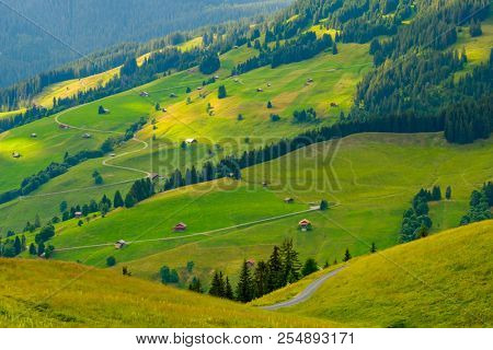 Summer landscape of Switzerland rural country side, near Habkern village