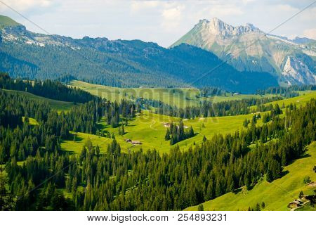 Summer landscape of Switzerland rural country side, near Habkern village