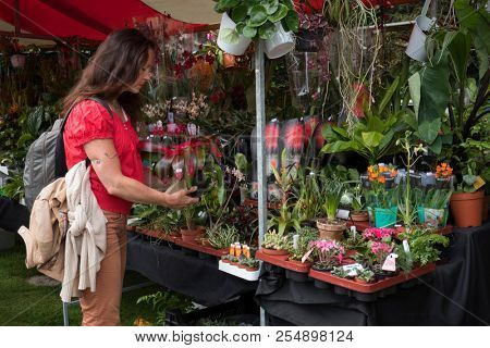 Leiden, Netherlands - May 12, 2018: Annual flower market with special plants in the Hortus Botanicus