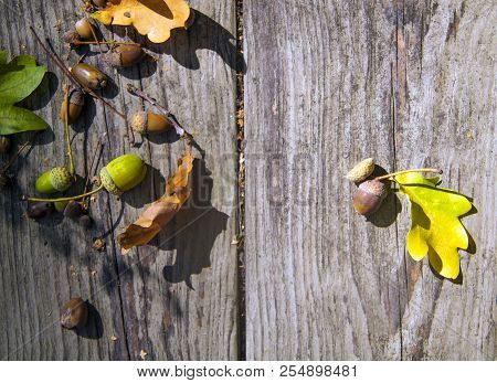 Autumn Decorative Wooden Background With Acorns And Leaves