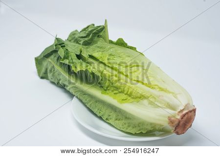 Romaine Lettuce Kept On A White Plate With White Background