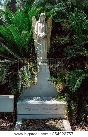 Cemetery Statuary Statue Bonaventure Cemetery Savannah Georgia