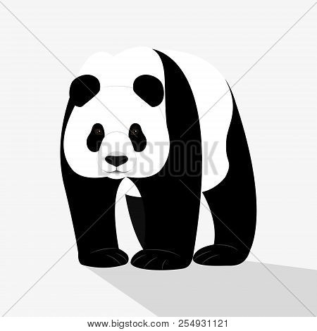 Asian Bear Panda Isolated On White Background, Black And White Bear. Funny Bear. Flat Design. Vector