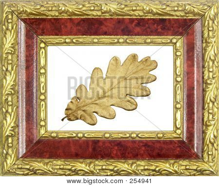 Framed Gilded Oak Leaf