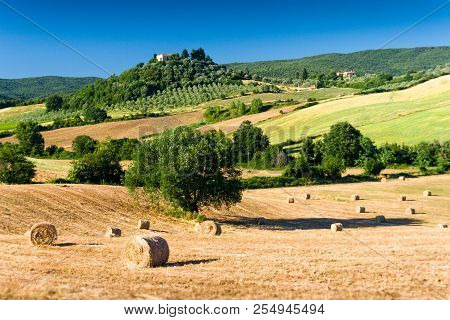 Haycock And Trees In Sunny Tuscan Countryside Near Massa Marittima, Italy