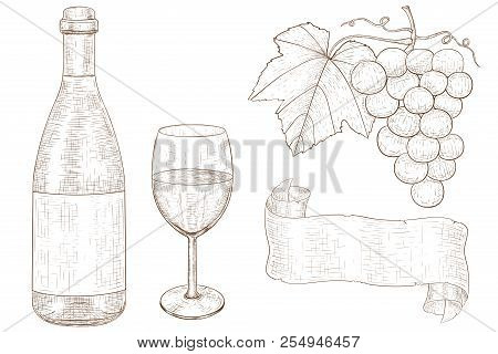 Wine Set. Botlle Of Wine, Glass, Grapes. Hand Drawn Sketch. Vintage Style. Vector Illustration Isola