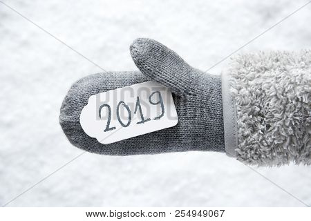 Wool Glove With White Label, Snow, Text 2019