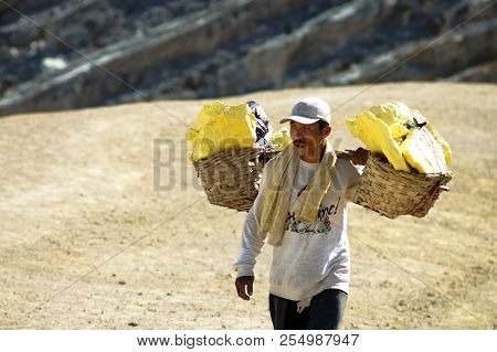 Kawah Ijen, Indonesia - November 10,2012 : Worker Carries Sulfurfrom Ijen Crater In Ijen Volcano, In