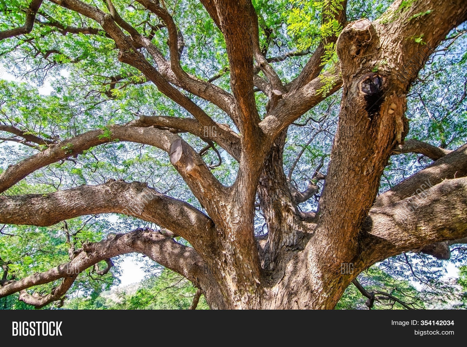 Scenery Giant Rain Image & Photo (Free Trial) Bigstock