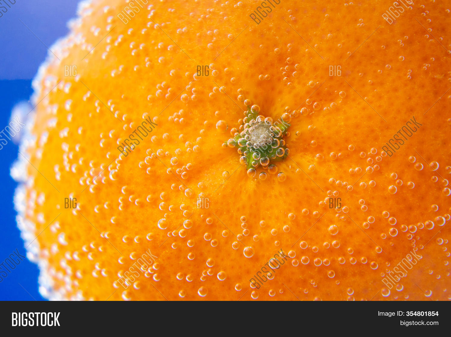 Mandarin Super Macro Image & Photo (Free Trial) Bigstock