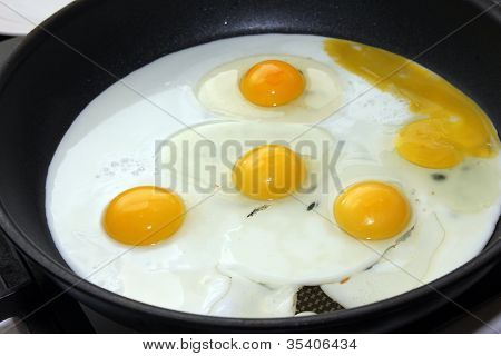ovos fritos