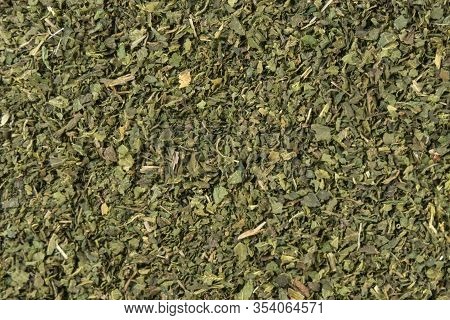 Dried Nettle Herb Or In Latin Utricae Folium Background. Medicinal Healing Herbs. Herbal Medicine. A