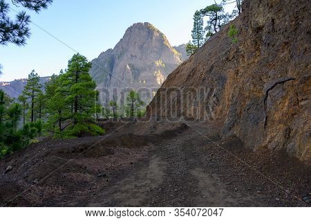 Scenic View On Caldera De Taburiente With Green Pine Forest, Ravines And Rocky Mountains Near Viewpo