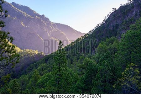 Scenic View On Caldera De Taburiente With Green Pine Forest, Ravines And Rocky Mountains Near Viewpo