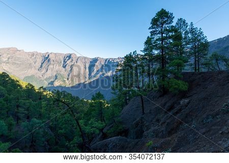 Scenic View On Caldera De Taburiente With Green Pine Forest, Ravines And Rocky Mountains Near Viewpo
