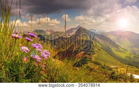 Great Sunset With Sunlight Lens Flares And Backlit. Beautiful View From High Mountain With Flowers I