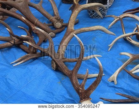 Flea Market Merchandise Out On Street - Stacks Of Red Deer Antlers On Blue Background, In Luxembourg