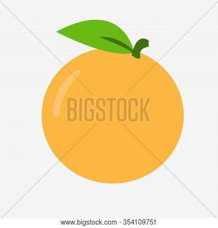 Orange Fruit Vector Illustration Fresh Vitamin Juice