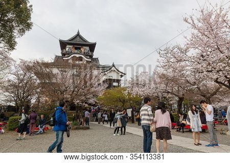 Inuyama Castle Historic Building Landmark In Spring With Beautiful Cherry Blossom.