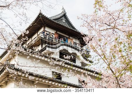 Inuyama Castle Historic Building Landmark In Spring With Beautiful Cherry Blossom.