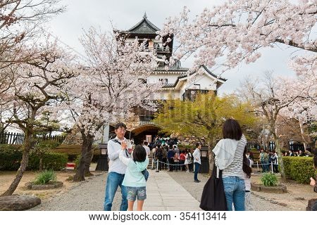 Inuyama Castle Historic Building Landmark In Spring With Beautiful Cherry Blossom.