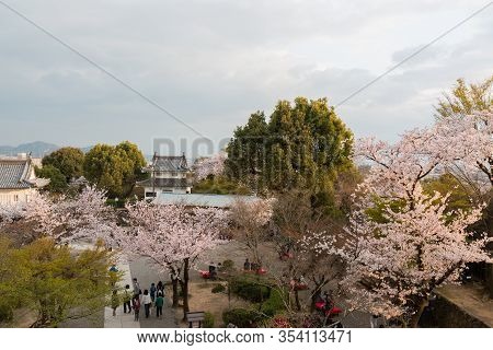 Inuyama Castle Historic Building Landmark In Spring With Beautiful Cherry Blossom.