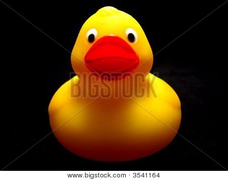Gummi Ducky