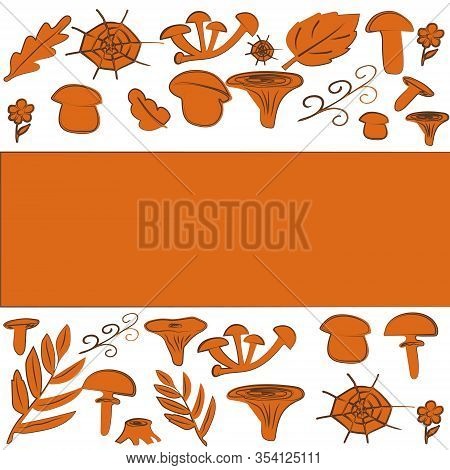 Cartoon Set Of Mushroom. Different Mushroms Template.