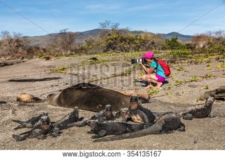 Wildlife nature photographer tourist on Galapagos looking at Galapagos Sea Lion and marine iguanas taking photo on Galapagos adventure travel vacation, Puerto Egas (Egas port) Santiago island, Ecuador