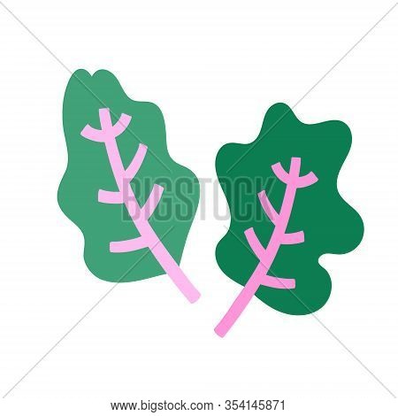 Swiss Rainbow Chard, Isolated Flat Doodle Illustration Of Green Salad Leaves, Vector Illustration Is