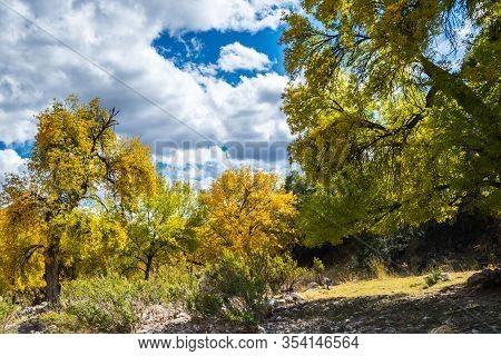 A Beautiful Overlooking View Of Nature In Benson, Arizona