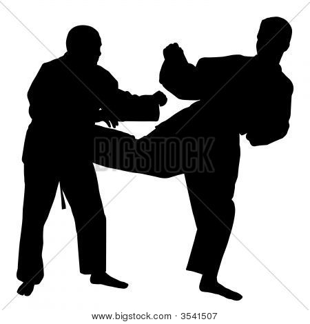 Karate Fight