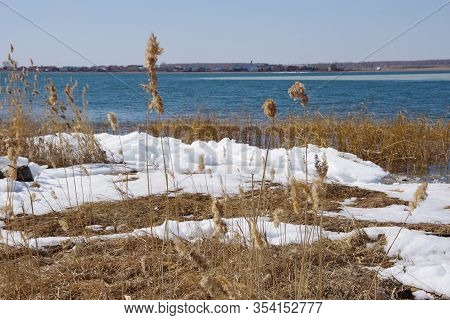 Spring Landscape With A Lake Overgrown With Reeds Near The Coast And A Clear Sky. Landscape With Mel