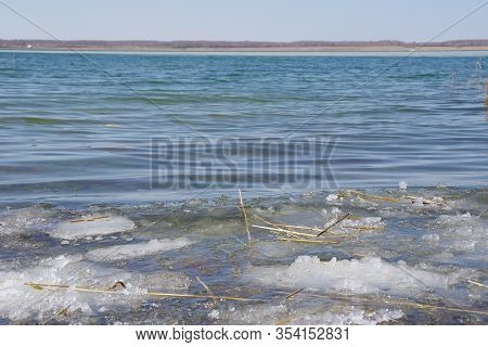 Spring Landscape With A Lake Covered By Melting Snow, The Remains Of Yellow Reeds And A Clear Sky. L