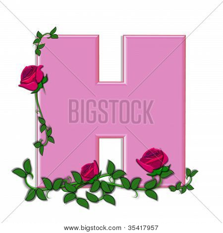 Alphabet Blushing Roses H