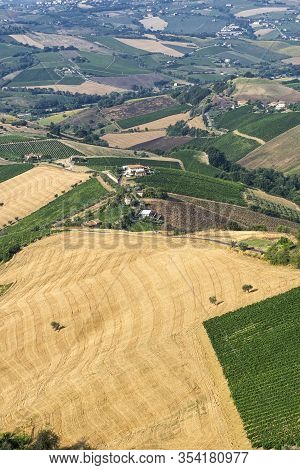 Rural Landscape At Summer From Ripatransone, Ascoli Piceno, Marches, Italy