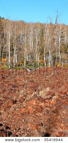 Dixie National Forest Utah