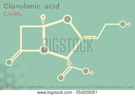 Large And Detailed Infographic Of The Molecule Of Clavulanic Acid.