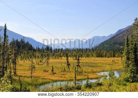Beautiful Canadian Landscape Of A Marsh With Small River And Trees.
