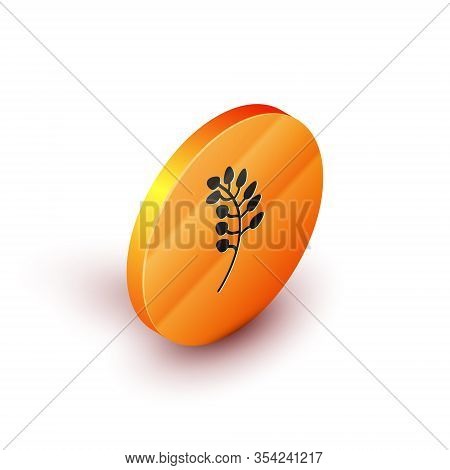 Isometric Willow Leaf Icon Isolated On White Background. Orange Circle Button. Vector Illustration
