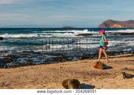Tourist wildlife nature photographer on Galapagos walking on beach by Galapagos Sea Lion and marine iguanas on Galapagos adventure travel vacation, Puerto Egas (Egas port) Santiago island Ecuador.