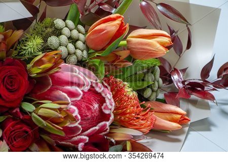 Detail Closeup Magnificent Bouquet Of Tulip, Leucospermum, Leucadendron, Protea, Rose On A Gray Back
