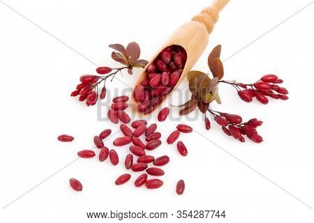 Wooden spoon with ripe red berries of barberry and branch of berberry isolated on white background. Top view