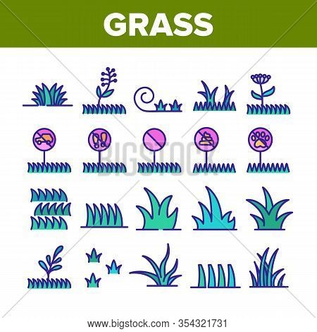 Grass Meadow Plant Collection Icons Set Vector. Garden Natural Glass With Mark Non-feet, No Animal, 